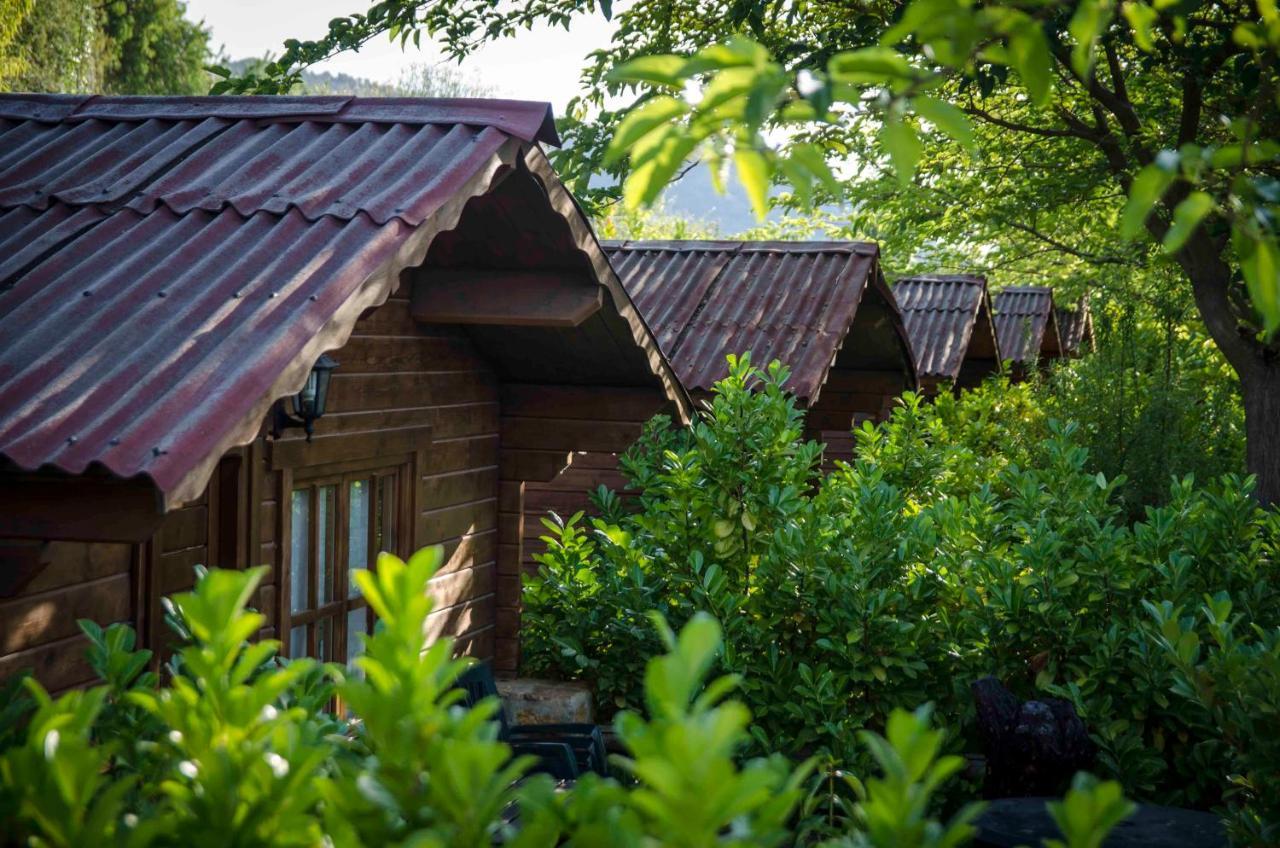 Fuente Del Lobo Glamping & Bungalows - Adults Only Pinos Genil Extérieur photo