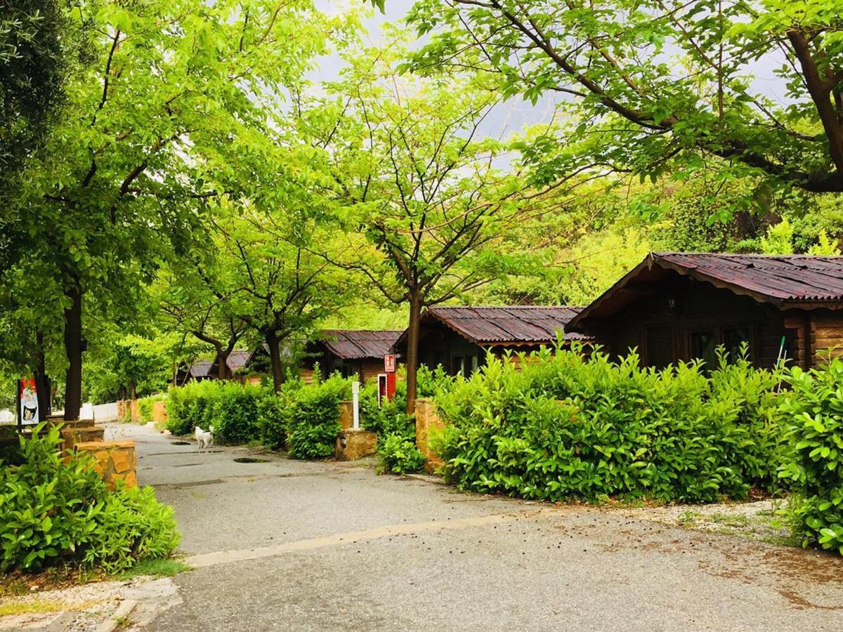 Fuente Del Lobo Glamping & Bungalows - Adults Only Pinos Genil Extérieur photo