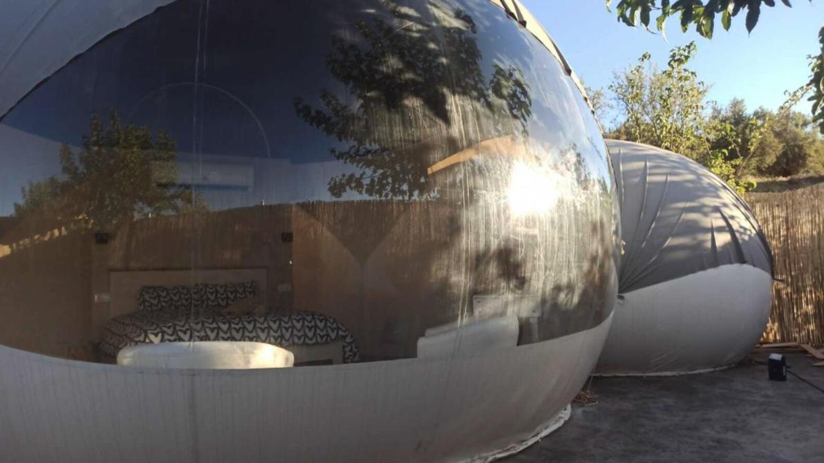 Fuente Del Lobo Glamping & Bungalows - Adults Only Pinos Genil Extérieur photo